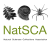 NatSCA logo