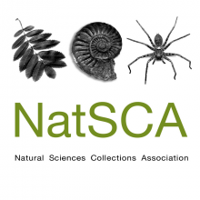 NatSCA logo